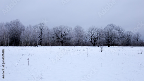 Winter landscape, trees covered in frost on the horizon