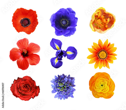 Set of different red, blue ...