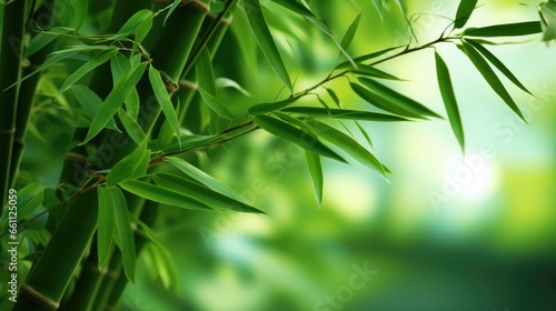 Nature's Serenity: Fresh bamboo trees in a lush forest, a tranquil scene with a blurred background
