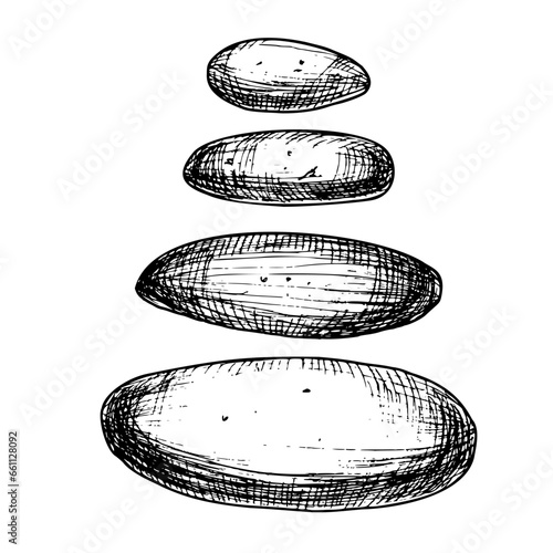 Set of sea Stones of different sizes isolated on a background. Hand drawn vector illustration of underwater pebbles for zen in line art style. Aquarium decoration. Rocks bundle for Spa design.