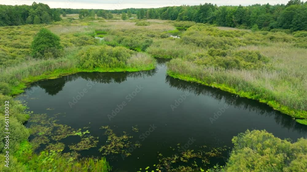 Nature river green forest water lake tree outdoor aerial background Nature river green forest water lake tree outdoor aerial background
