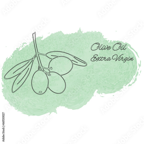 Olive oil extra virgin background. Vector illustration