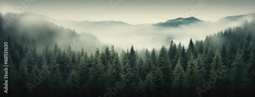 a fog-draped fir forest, evoking a sense of nostalgia and mystery.