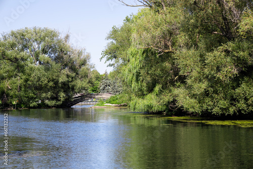 Photography river in the forest