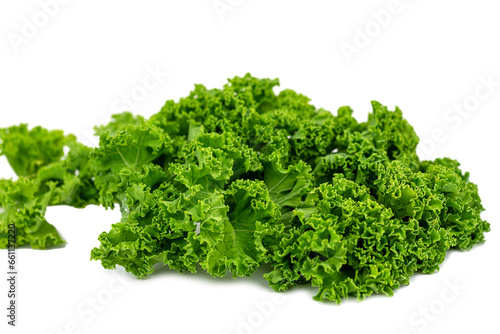 green kale leaf isolated on the white background