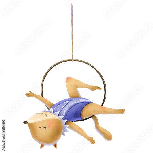 Red Fox aerialist in a sports purple leotard shows a show on the aerial ring. Cute children's illustration. Circus show performance photo