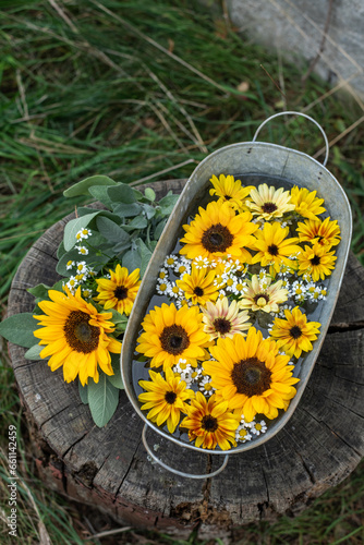 Vintage Dekoration mit Sonnenblumen, in Zinkwanne, Blüten dekorativ Sonnenblume, Salbei und Kamille, Spätsommer im Garten, Landhaus