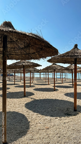  straw beach umbrellas in rows on the beach