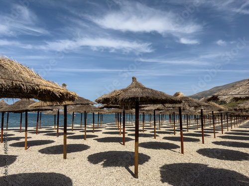  straw beach umbrellas in rows on the beach