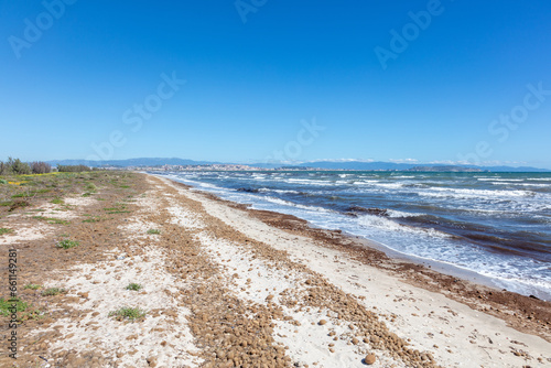 Fototapeta Naklejka Na Ścianę i Meble -  the beach is covered with sea grass rolled into small balls