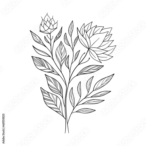 Botanical linear flower branch. Minimalist hand drawn floral element, fine line art leaves for tattoo sketch. Vector design © Екатерина Заносиенко
