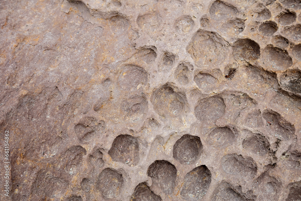 rock with carved holes, a force of nature rock with carved holes, a force of nature