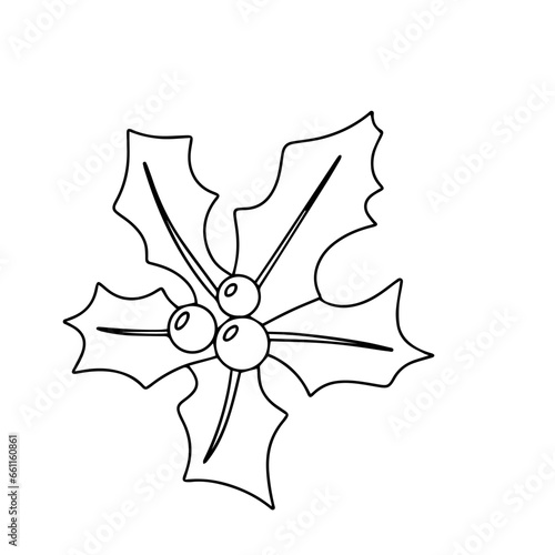 Holly berries in doodle style. Hand drawn outline holly berry branch. Vector illustration.