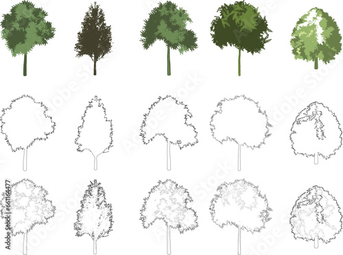 Tree elevation line silhouettes