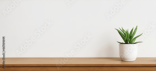 An indoor plant in a white pot resting on a wooden shelf against a clean white backdrop