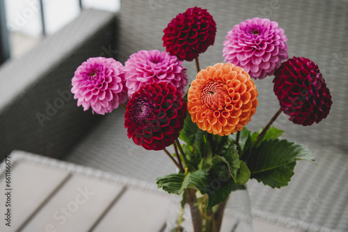 A colorful bouquet of dahlias. Flowers in glaas vase on wood. Trend color fall 2023. photo