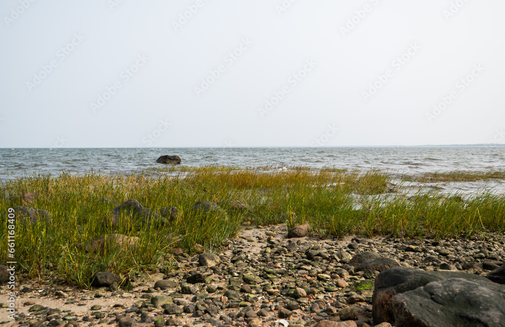 Coastal environment of Cape Cod, New England. Oceanic background