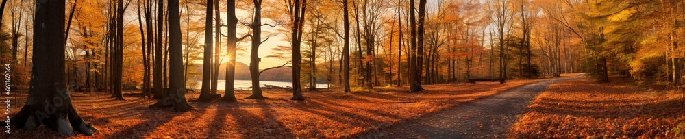 autumn forest with orange leaves and large trees.