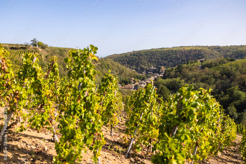 Village médiéval de Malleval depuis les vignobles de l’appellation Côtes-du-Rhône, sur un coteau très abrupte