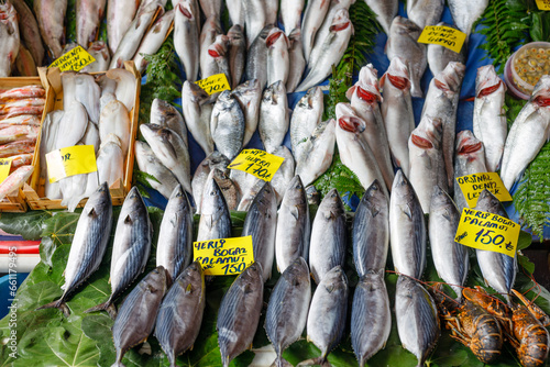 boxes of fresh fish at the fish market photo