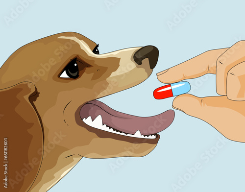 How to give a pill to a dog. Sick dog. Dog's health problems. The owner gives medicine to the dog. Healthcare illustration. Vector illustration.