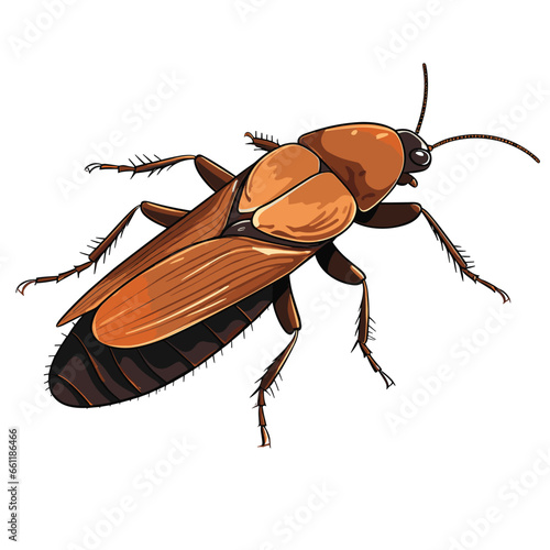 Hand Drawn Flat Color Cockroach Illustration
