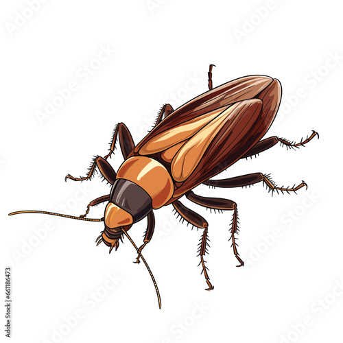Hand Drawn Flat Color Cockroach Illustration
