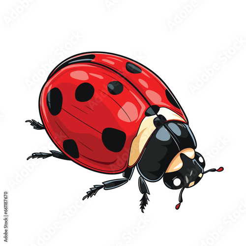 red ladybug with black spots on white clip art preview