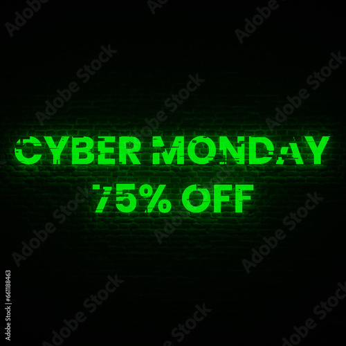 Cyber Monday 75% OFF