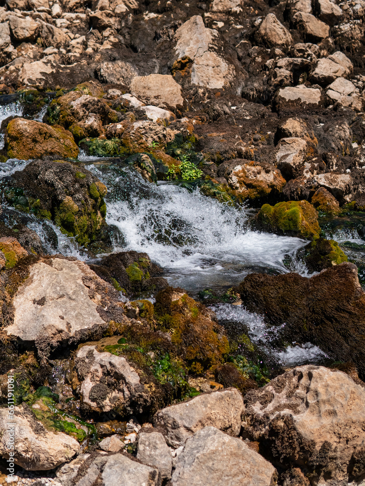 Close up of a Krupa river near its karst spring Close up of a Krupa river near its karst spring