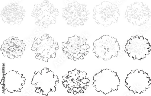 Tree plan line silhouettes - top view set 3