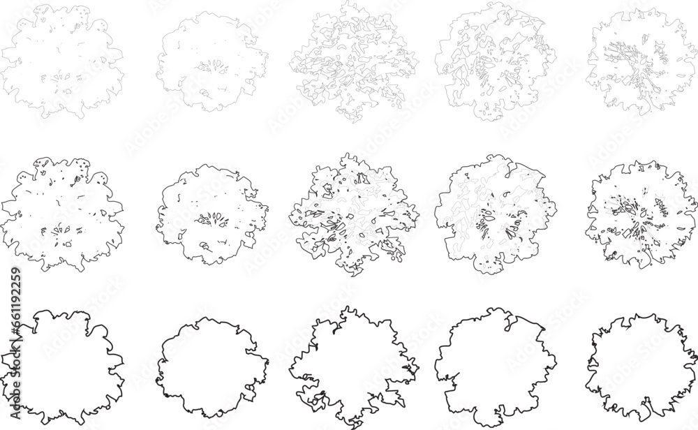 Tree plan line silhouettes - top view set 6 Stock Vector | Adobe Stock