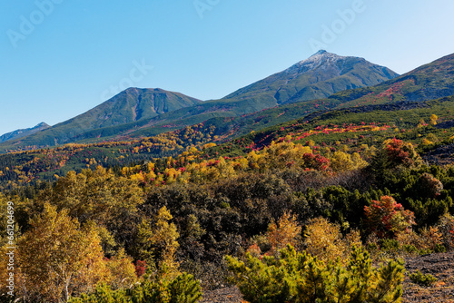 望岳台の紅葉