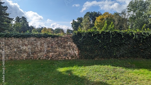 bewachsene Gartenmauer