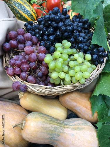 Harvested crops: pumpkins, tomatoes, apples, grapes in a wicker basket. Harvest concept, vertical background