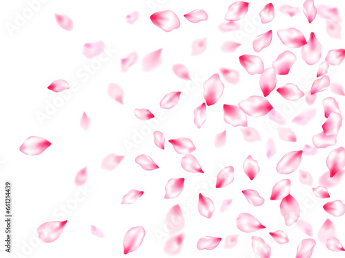 Japanese cherry blossom pink flying petals