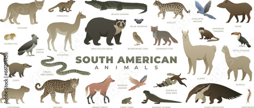 South American animals set. Including llama, alpaca, capybara, anteater, toucan, ocelot. Vector illustration of wildlife. Wild animal collection isolated on white background.