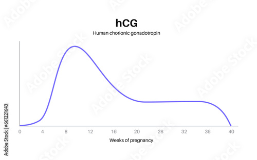 Hormones in pregnancy