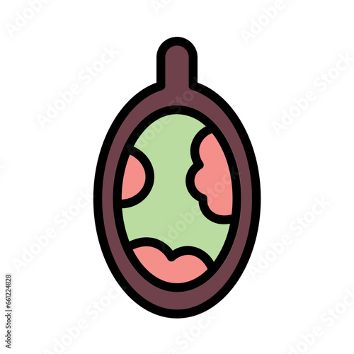 Spice Condiment Cuisine Icon