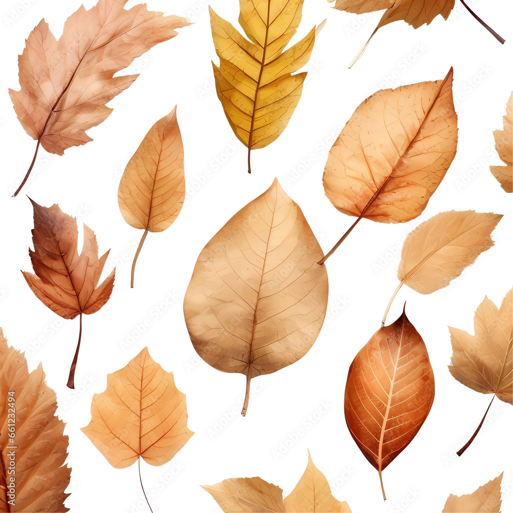 Autumn, maple leaves, leaves, stepping on fallen leaves, colorful Autumn, maple leaves, leaves, stepping on fallen leaves, colorful