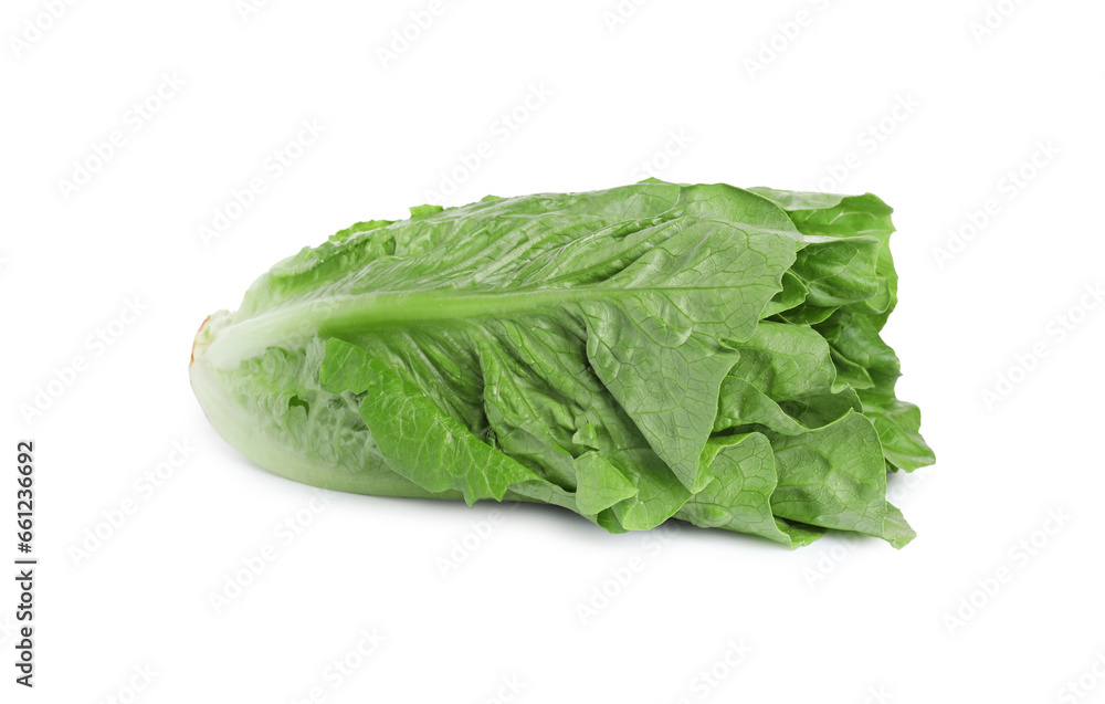 Fresh green romaine lettuce isolated on white Fresh green romaine lettuce isolated on white