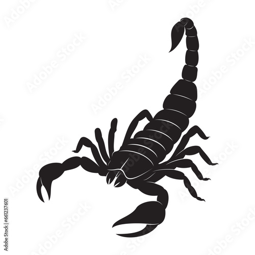 Scorpion Silhouette on white background