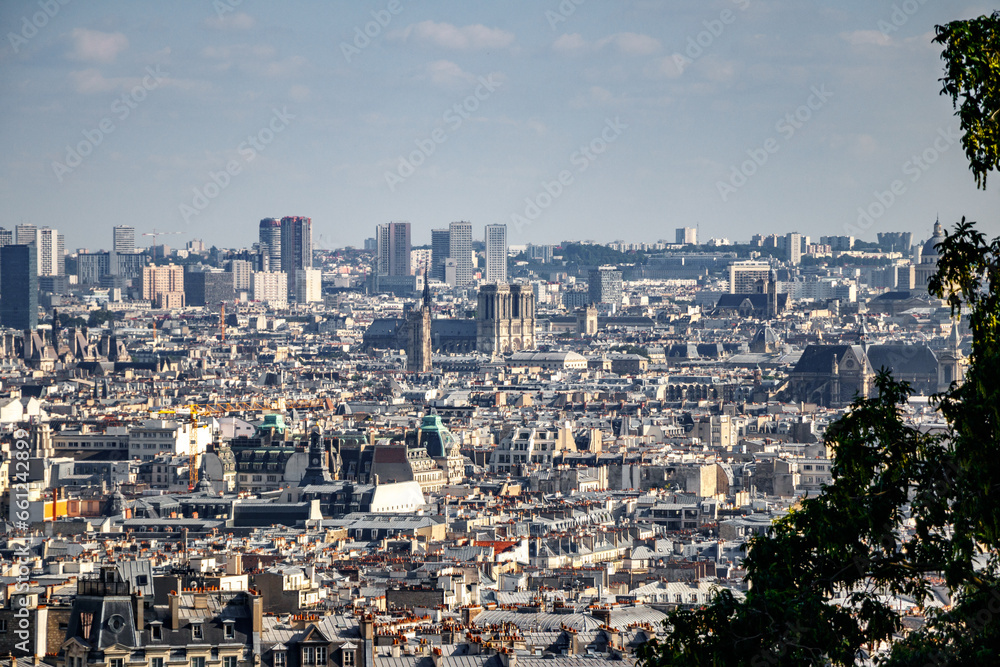View of Paris from Mormartre