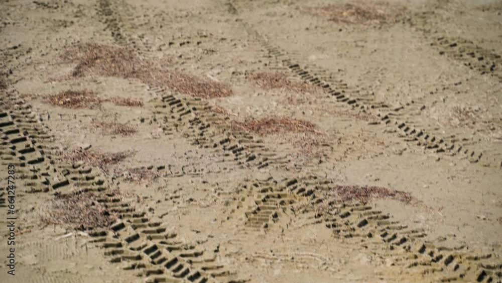 Marks of a car tires in the mud. Marks of a car tires in the mud.