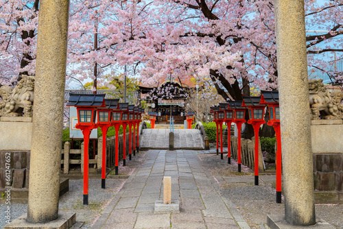 Kyoto, Japan - March 31 2023: Rokusonno shrine built in 963, enshrines MInamota no Tsunemoto the 6th grandson of Emperor Seiwa. It's one of the best cherryblossom viewing spots in Kyoto photo