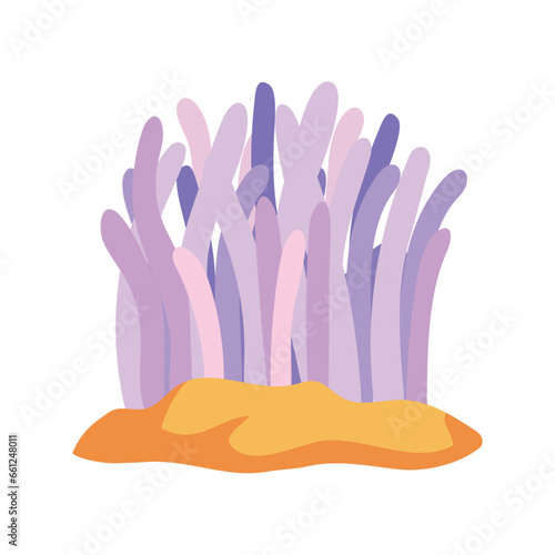sea life anemone illustration