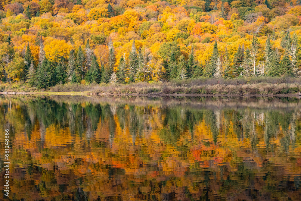 Colorful Fall Foliage Reflected in The Jacques-Cartier River in Quebec Canada Colorful Fall Foliage Reflected in The Jacques-Cartier River in Quebec Canada
