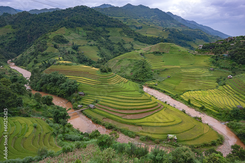 Landscape with green and yellow terraced rice fields and a river in the highlands of North-Vietnam, Yen Bai province © Hans Gert Broeder