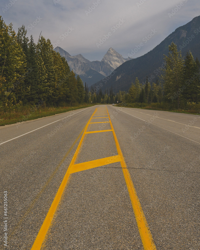 Fototapeta premium road to the mountains