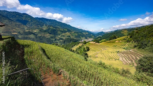 Landscape with green and yellow rice terraced fields and blue cloudy sky near Yen Bai province  North-Vietnam